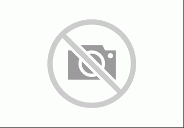 Foto: Dicionário Online de Português