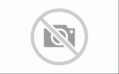 Veículo, aparelhos de telefone celular e pneus foram apreendidos pelo DOF durante a Operação Hórus